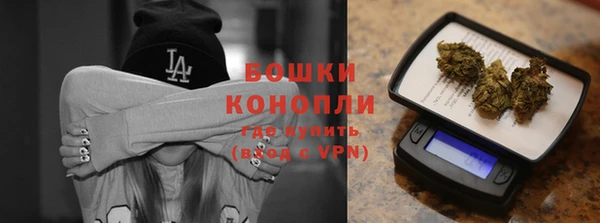 прущие грибы Нея