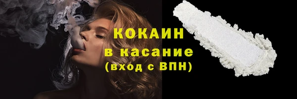 прущие грибы Нея