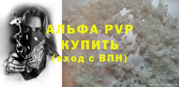 прущие грибы Нея