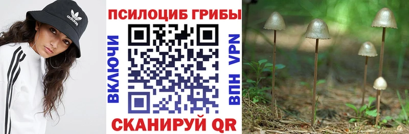 Галлюциногенные грибы GOLDEN TEACHER  Полярные Зори 